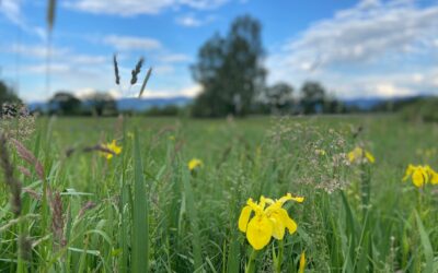 Gemeinsam Höchst entdecken: Radwanderung im Natura 2000 Gebiet